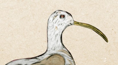 © 2007 Aðalheiður Ólöf Skarphéðinsdóttir. Einþrykk. Þurrnál og vatnslitir. Heiti: Sögustund (hluti myndar)