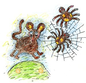 © 2014 Aðalheiður Ólöf Skarphéðinsdóttir. Teikningar.