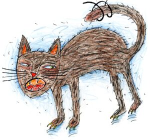 © 2014 Aðalheiður Ólöf Skarphéðinsdóttir. Teikningar.